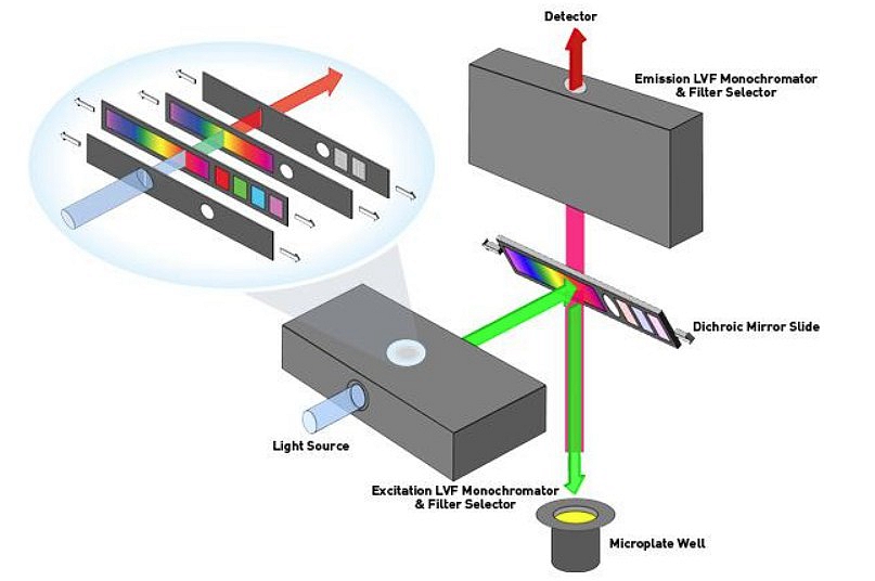 酶標(biāo)儀使用光柵和濾光片的區(qū)別 酶標(biāo)儀使用光柵和濾光片的區(qū)別