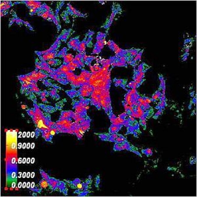 熒光PCR檢測儀用濾光片波段應用及定制生產(chǎn)