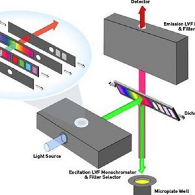 酶標儀使用光柵和濾光片的區(qū)別比較